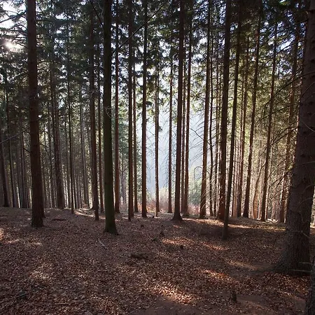 Cavalletta * Jáchymov